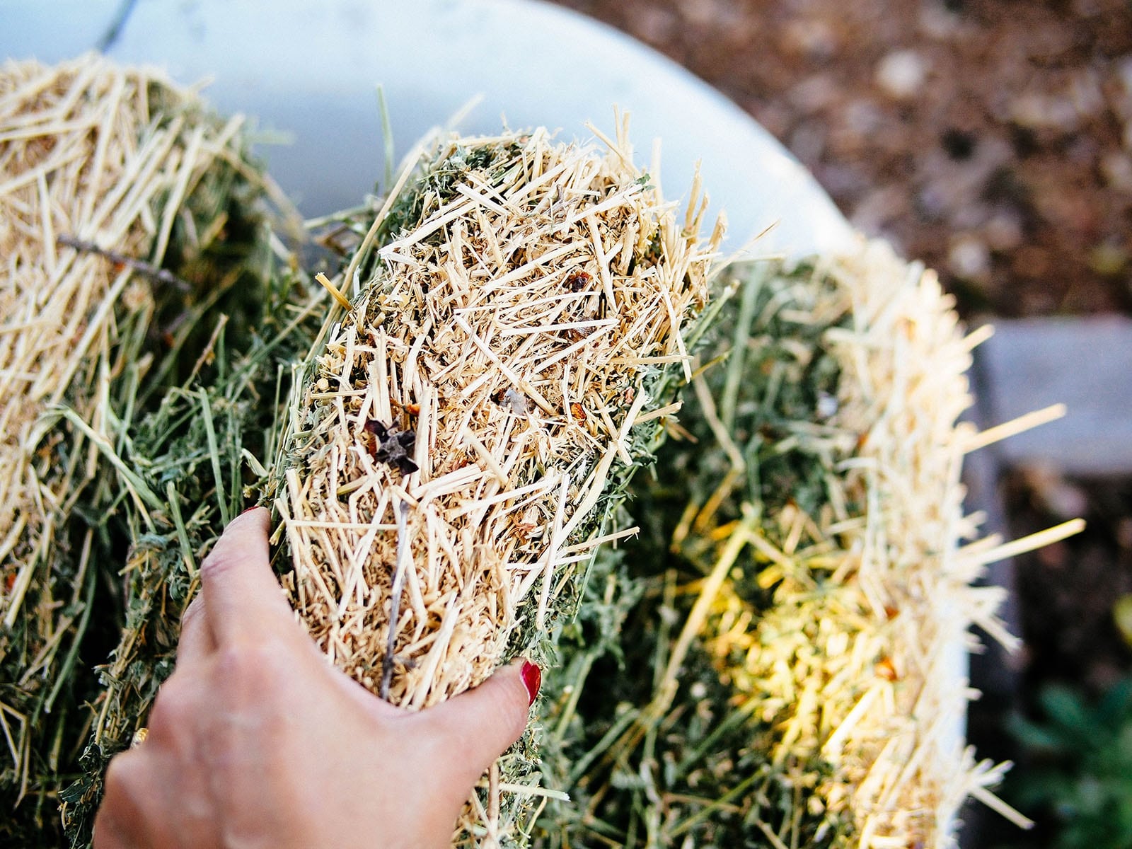 Pad of alfalfa