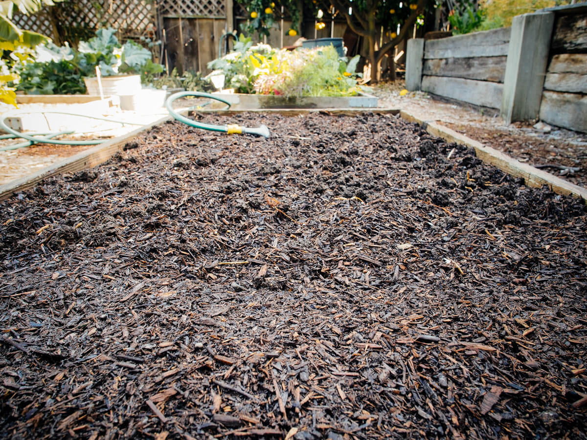 Freshly prepared garden bed