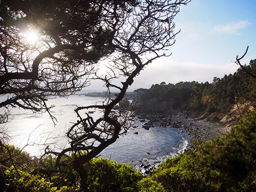 Salt Point on the Sonoma Coast