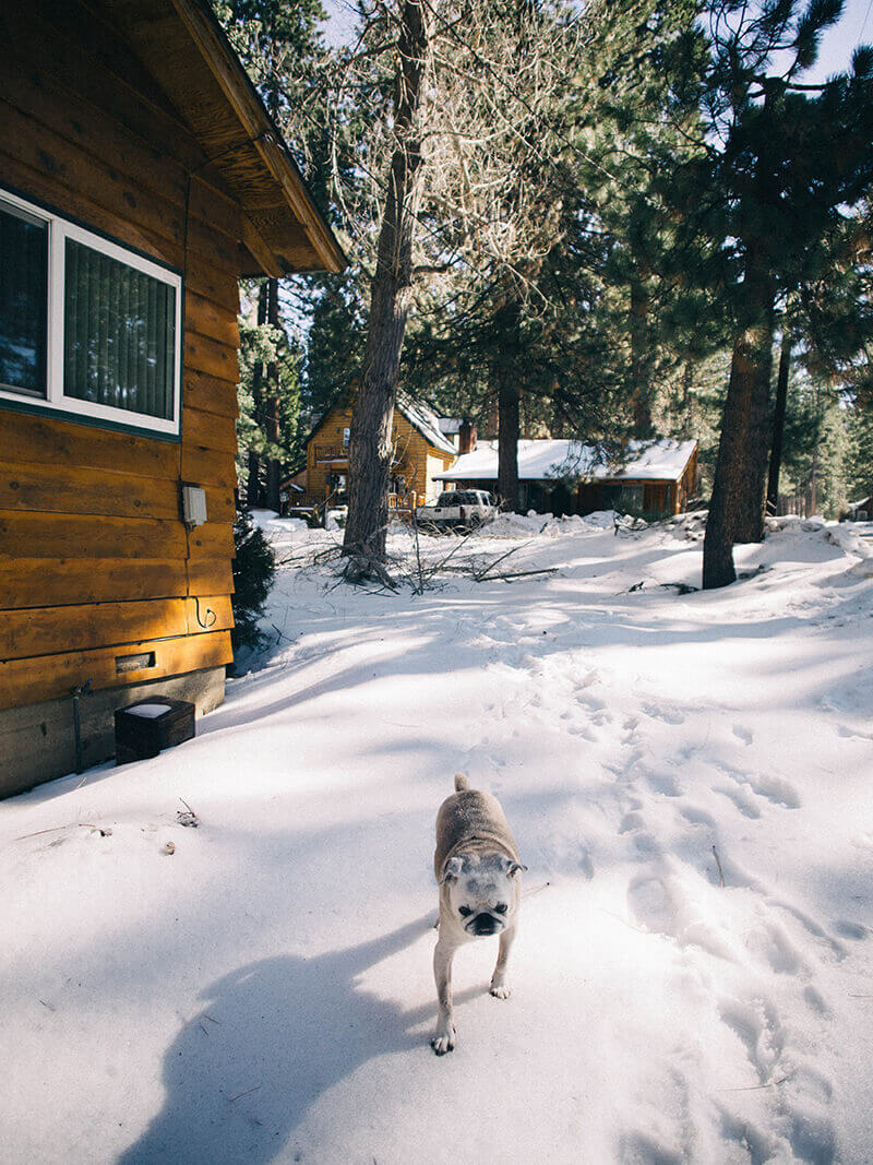 Snow play, sunny skies, and a cozy cabin in Big Bear