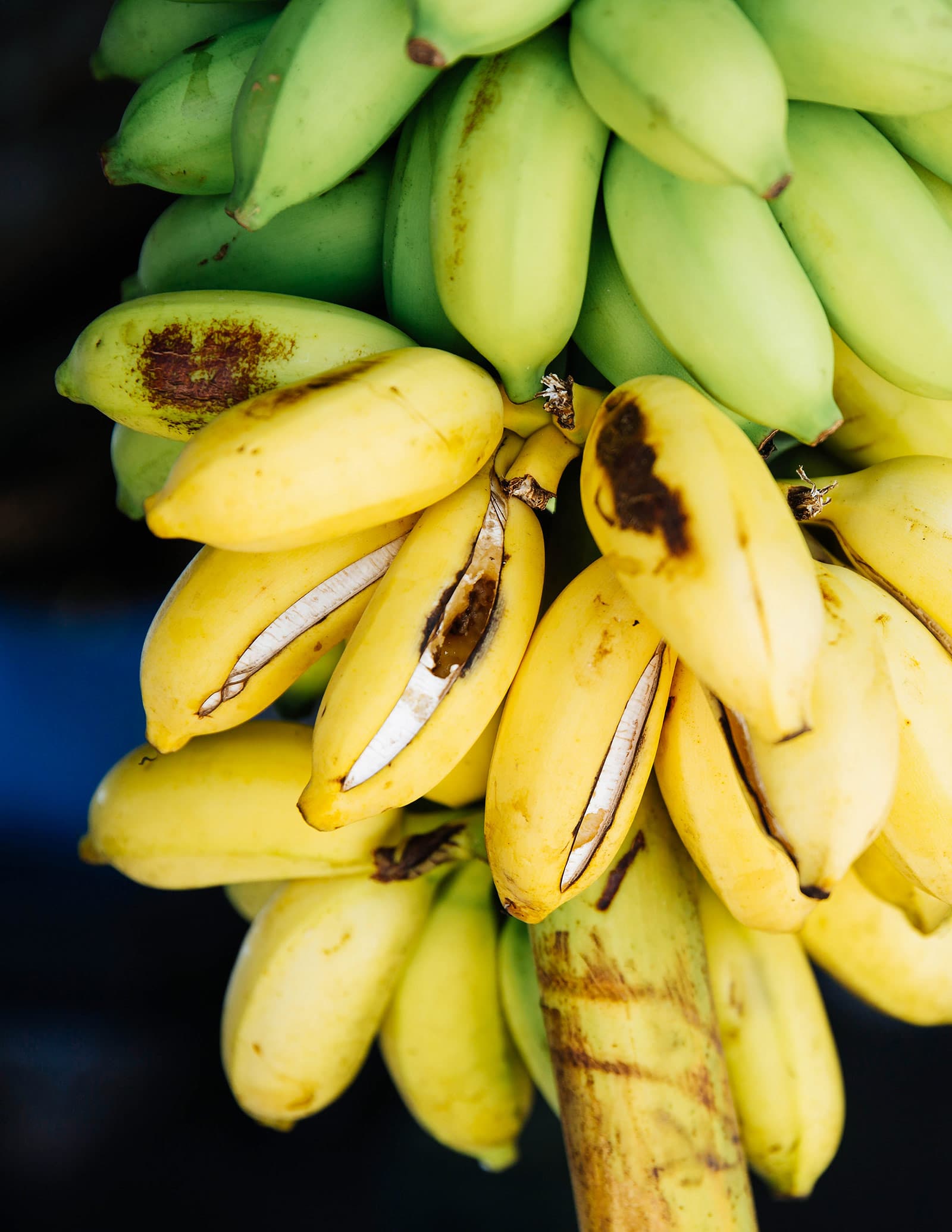 The real reason bananas split open by themselves