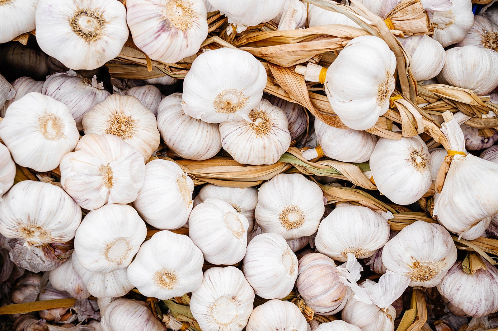 Pile of softneck garlic bulbs with braided stems