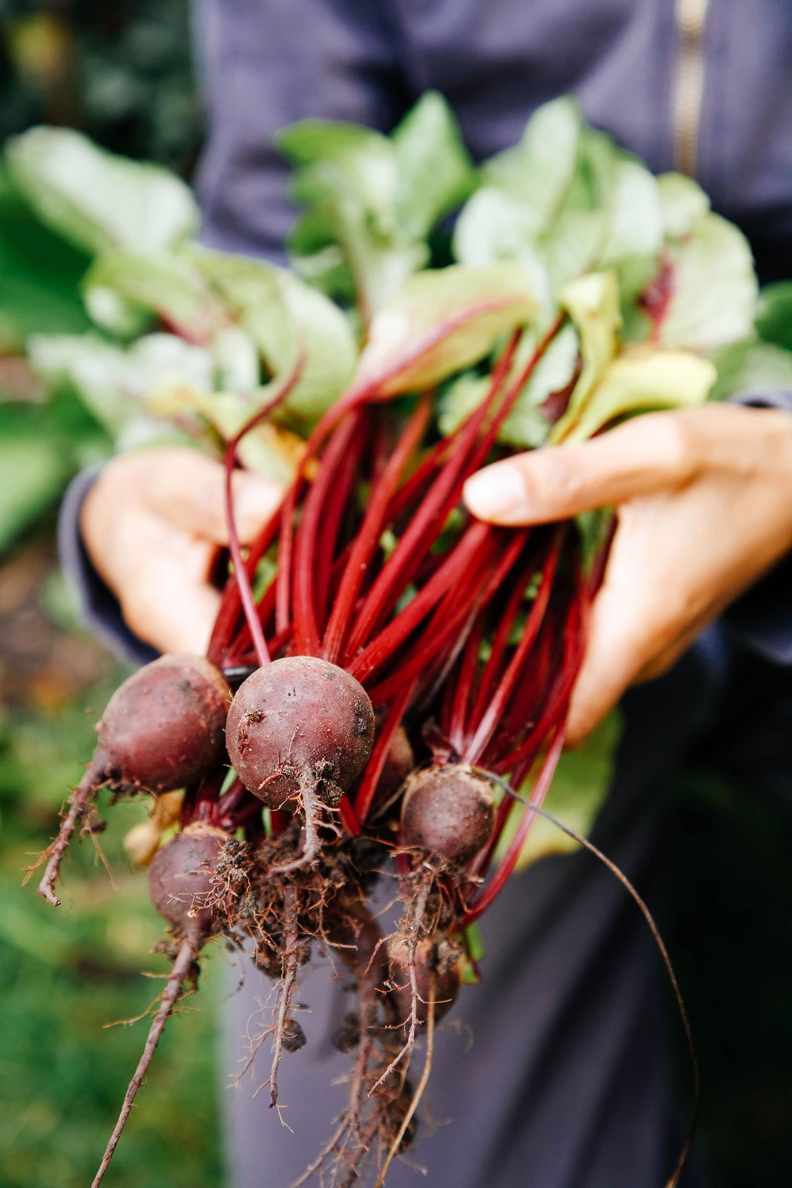 Fast-growing vegetables you can grow in 40 days or less