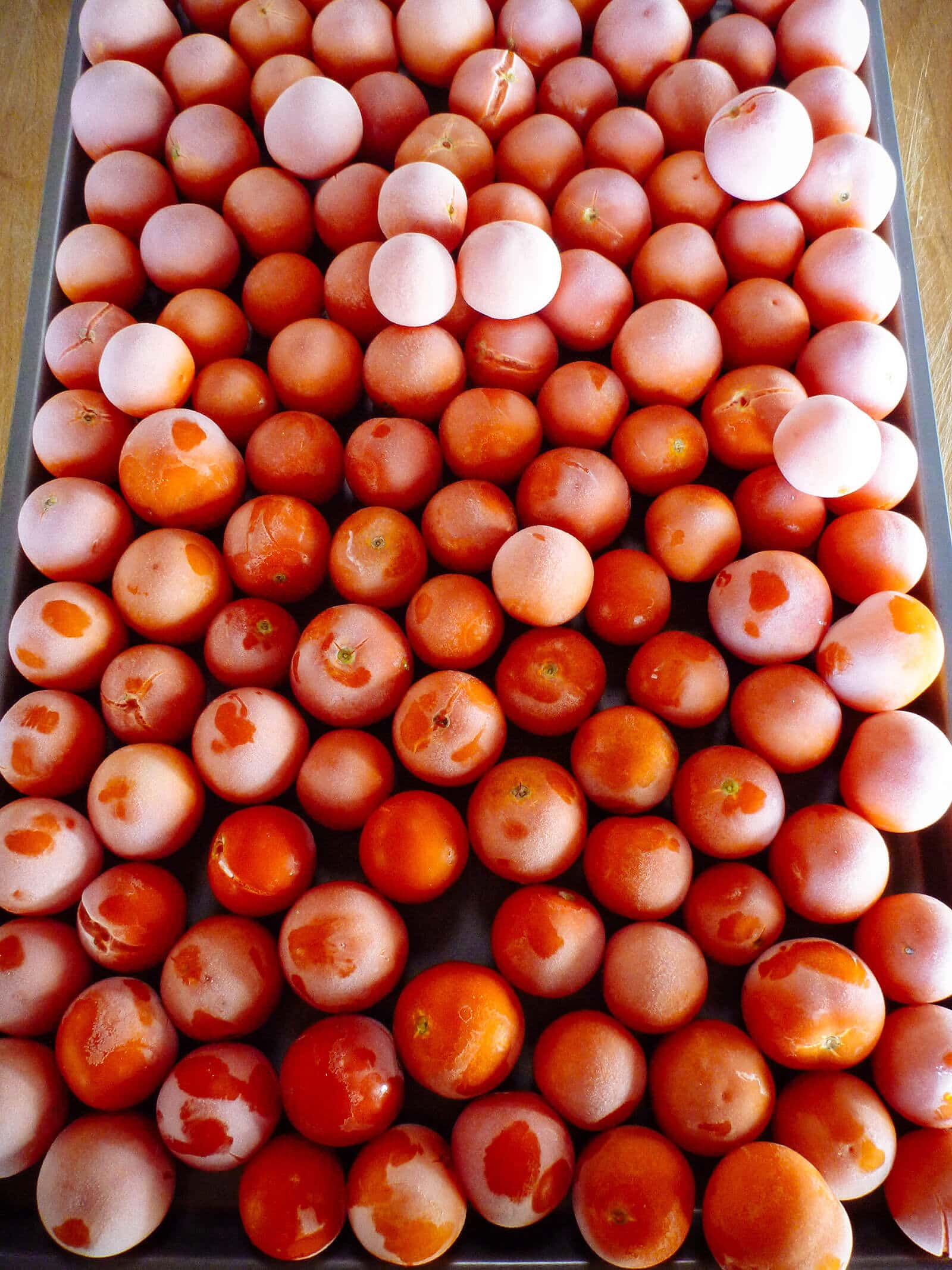 Overhead shot of frozen cherry tomatoes on a sheet pan