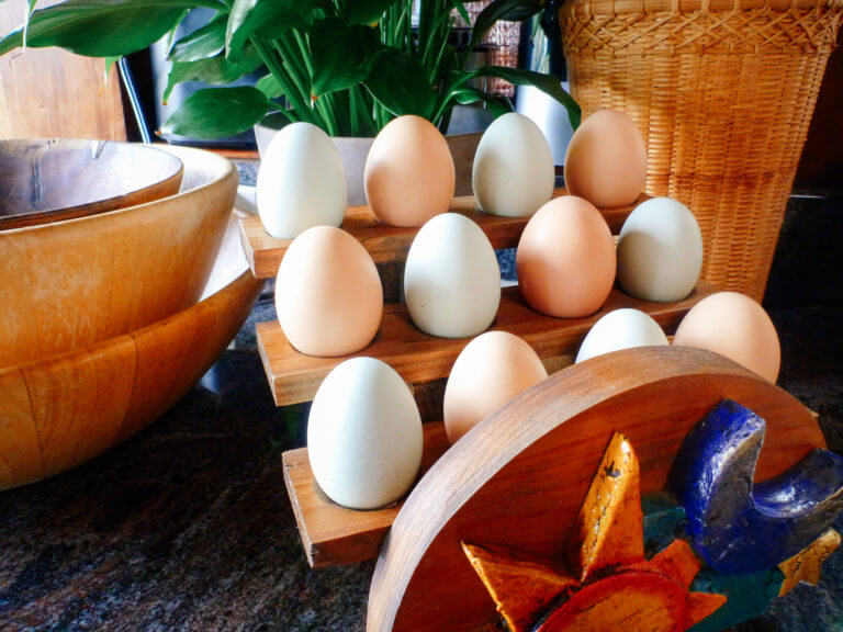 Have You Been Storing Your Eggs All Wrong?